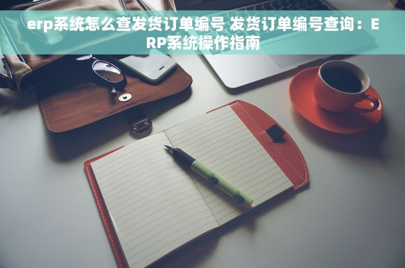 erp系统怎么查发货订单编号 发货订单编号查询：ERP系统操作指南