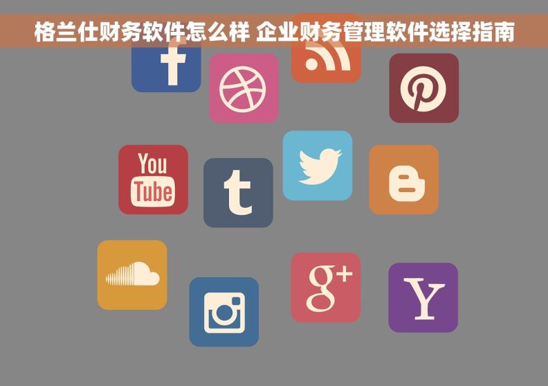 格兰仕财务软件怎么样 企业财务管理软件选择指南
