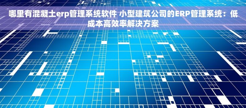 哪里有混凝土erp管理系统软件 小型建筑公司的ERP管理系统：低成本高效率解决方案