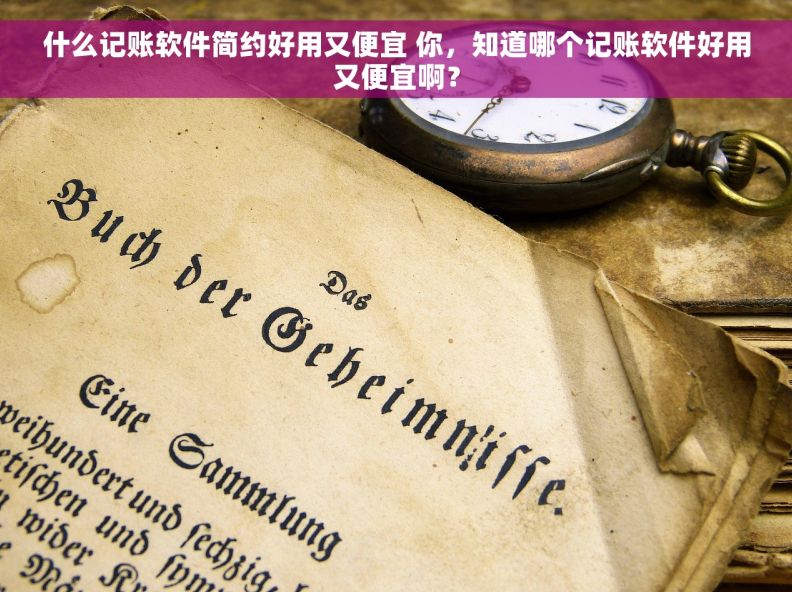 什么记账软件简约好用又便宜 你，知道哪个记账软件好用又便宜啊？