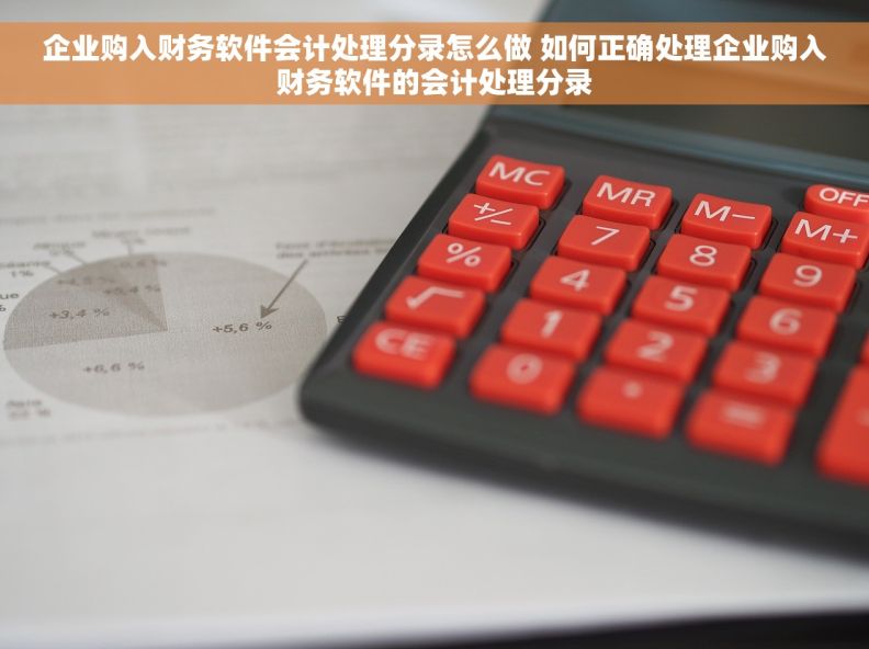 企业购入财务软件会计处理分录怎么做 如何正确处理企业购入财务软件的会计处理分录