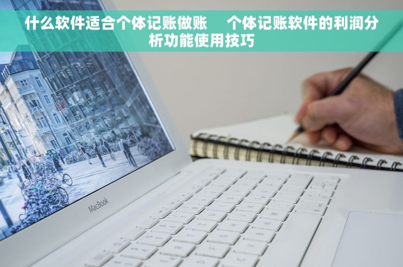 什么软件适合个体记账做账     个体记账软件的利润分析功能使用技巧