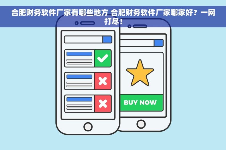 合肥财务软件厂家有哪些地方 合肥财务软件厂家哪家好？一网打尽！
