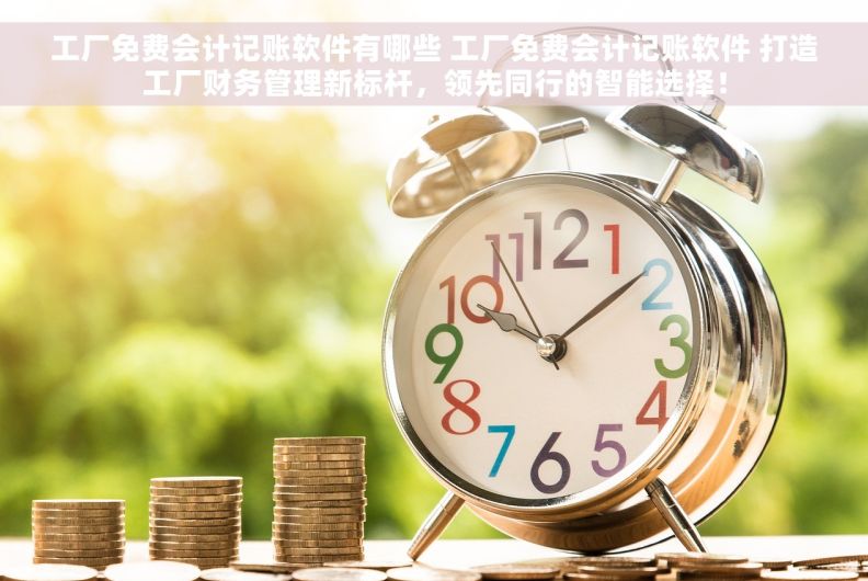 工厂免费会计记账软件有哪些 工厂免费会计记账软件 打造工厂财务管理新标杆，领先同行的智能选择！