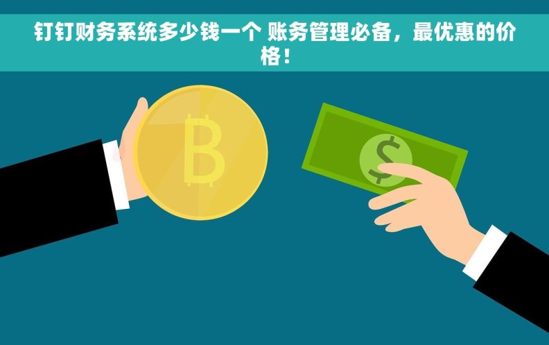钉钉财务系统多少钱一个 账务管理必备，最优惠的价格！