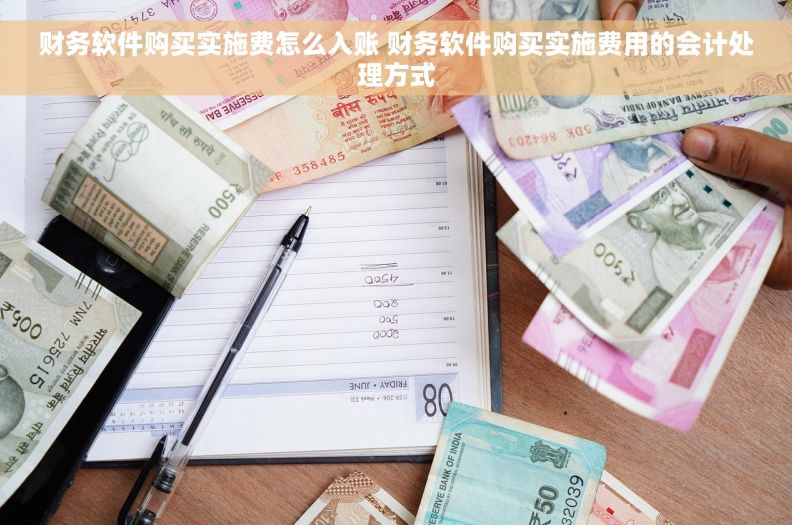 财务软件购买实施费怎么入账 财务软件购买实施费用的会计处理方式