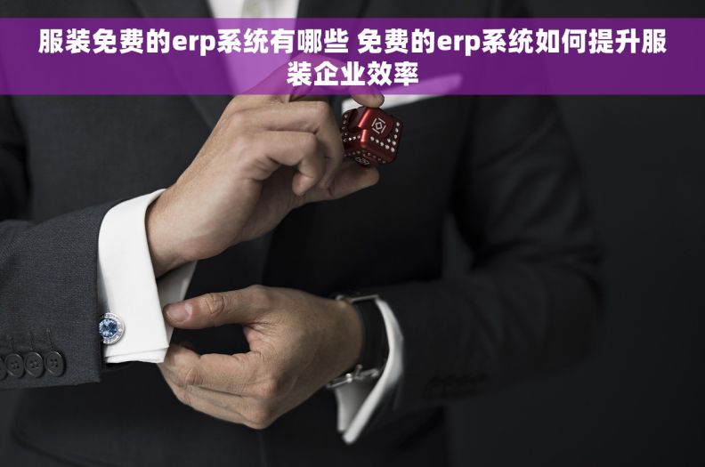 服装免费的erp系统有哪些 免费的erp系统如何提升服装企业效率