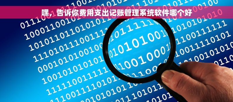 嘿，告诉你费用支出记账管理系统软件哪个好