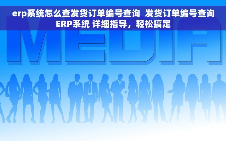 erp系统怎么查发货订单编号查询  发货订单编号查询ERP系统 详细指导，轻松搞定