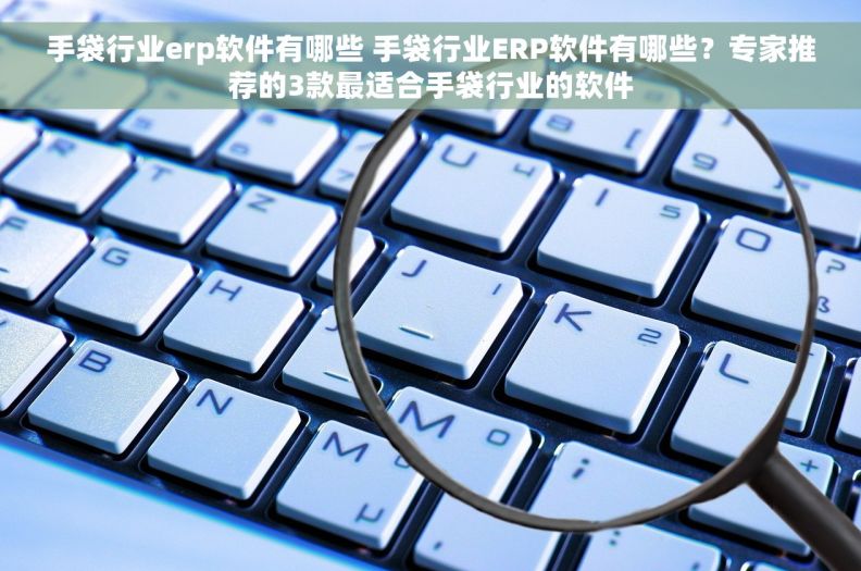手袋行业erp软件有哪些 手袋行业ERP软件有哪些？专家推荐的3款最适合手袋行业的软件