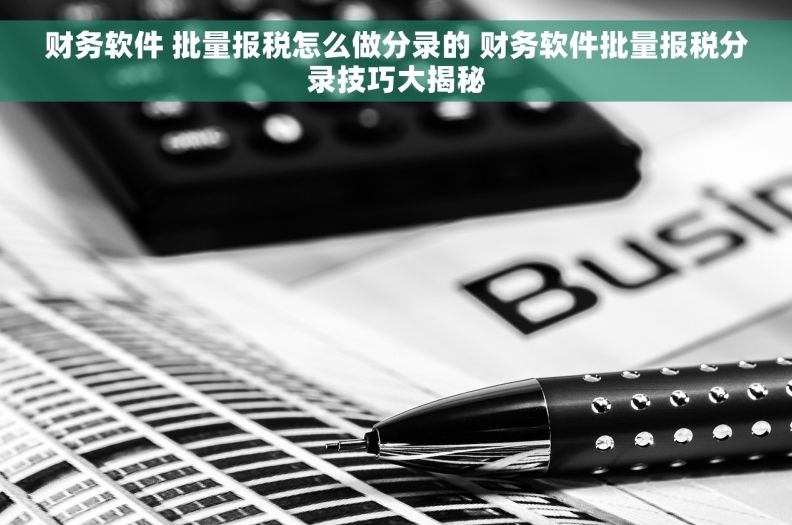 财务软件 批量报税怎么做分录的 财务软件批量报税分录技巧大揭秘