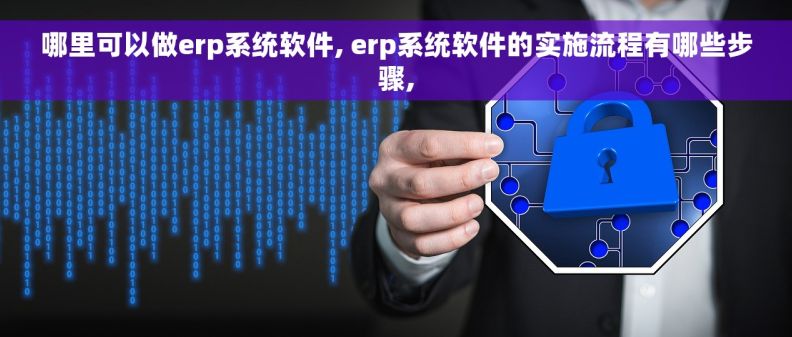 哪里可以做erp系统软件, erp系统软件的实施流程有哪些步骤,
