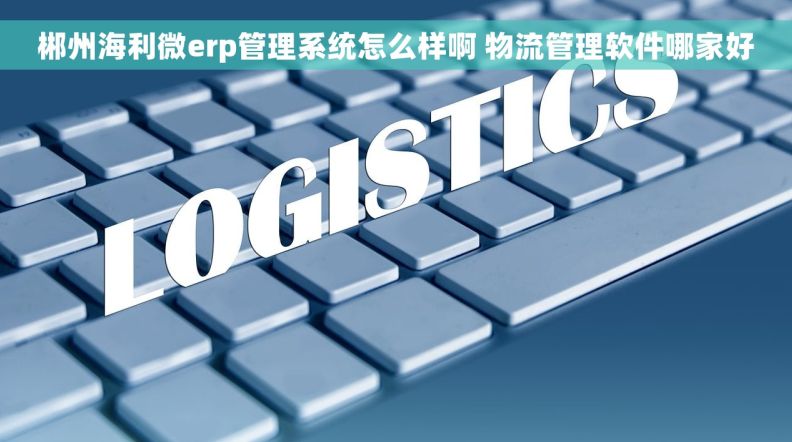 郴州海利微erp管理系统怎么样啊 物流管理软件哪家好