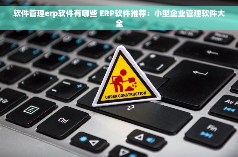 软件管理erp软件有哪些 ERP软件推荐：小型企业管理软件大全