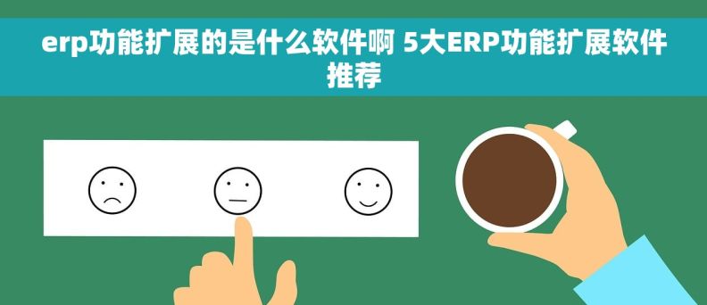 erp功能扩展的是什么软件啊 5大ERP功能扩展软件推荐