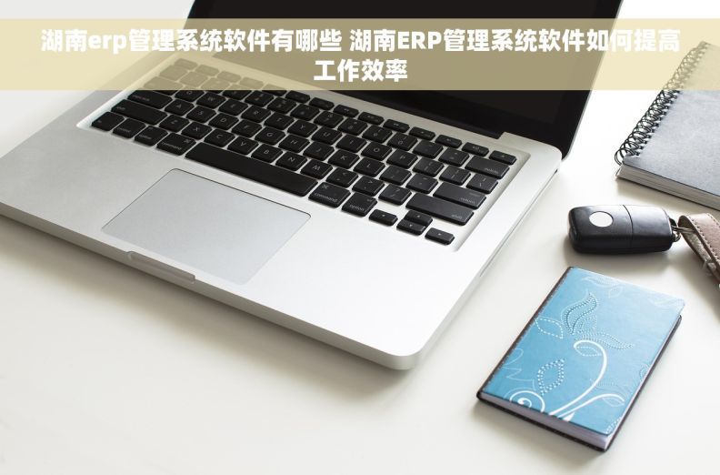 湖南erp管理系统软件有哪些 湖南ERP管理系统软件如何提高工作效率