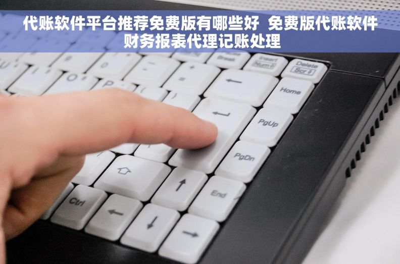 代账软件平台推荐免费版有哪些好  免费版代账软件 财务报表代理记账处理