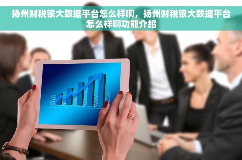 扬州财税银大数据平台怎么样啊，扬州财税银大数据平台怎么样啊功能介绍