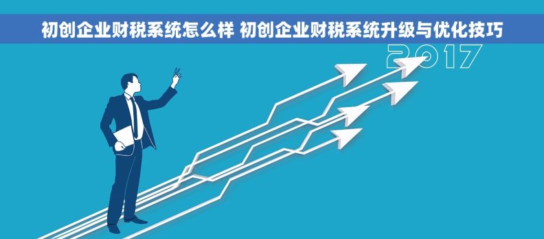初创企业财税系统怎么样 初创企业财税系统升级与优化技巧