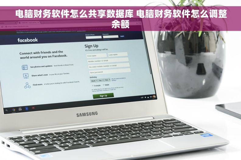 电脑财务软件怎么共享数据库 电脑财务软件怎么调整余额