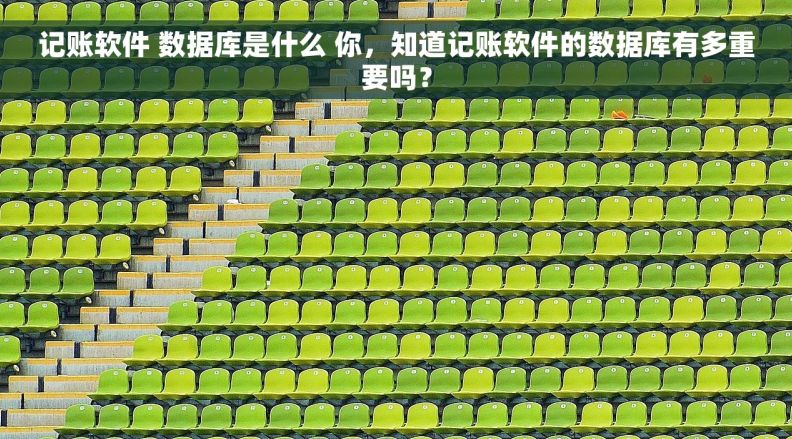 记账软件 数据库是什么 你，知道记账软件的数据库有多重要吗？