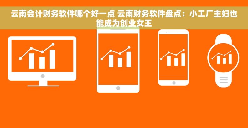 云南会计财务软件哪个好一点 云南财务软件盘点：小工厂主妇也能成为创业女王