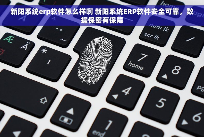 新阳系统erp软件怎么样啊 新阳系统ERP软件安全可靠，数据保密有保障