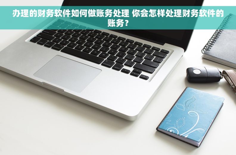 办理的财务软件如何做账务处理 你会怎样处理财务软件的账务？