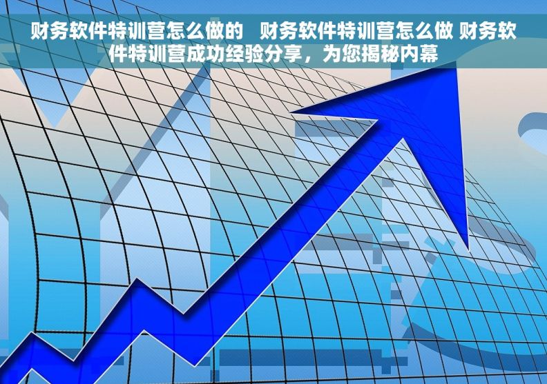 财务软件特训营怎么做的   财务软件特训营怎么做 财务软件特训营成功经验分享，为您揭秘内幕