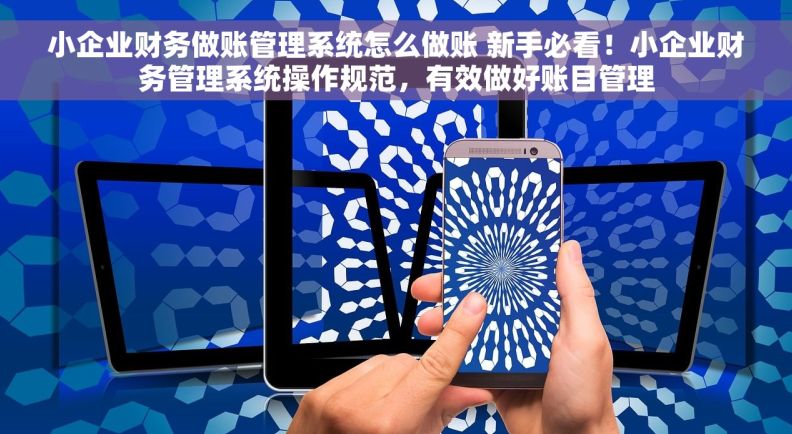 小企业财务做账管理系统怎么做账 新手必看！小企业财务管理系统操作规范，有效做好账目管理