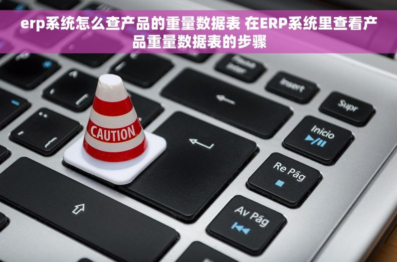erp系统怎么查产品的重量数据表 在ERP系统里查看产品重量数据表的步骤