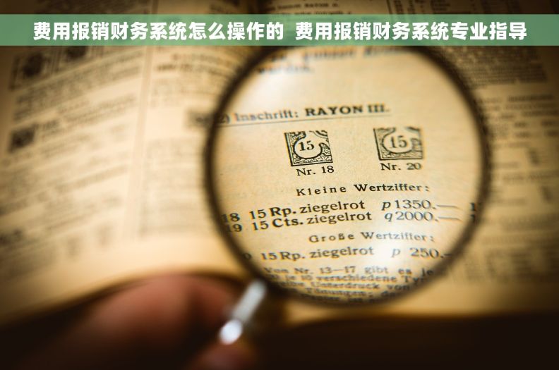费用报销财务系统怎么操作的  费用报销财务系统专业指导