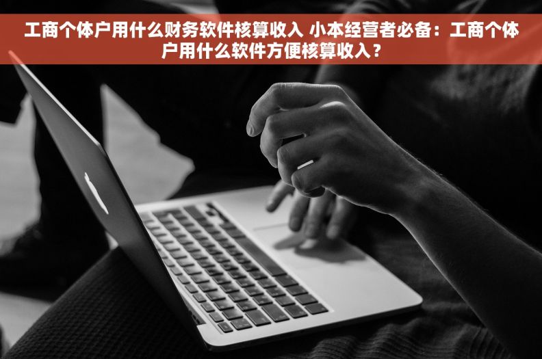 工商个体户用什么财务软件核算收入 小本经营者必备：工商个体户用什么软件方便核算收入？
