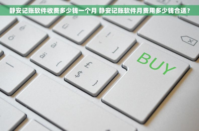 静安记账软件收费多少钱一个月 静安记账软件月费用多少钱合适？