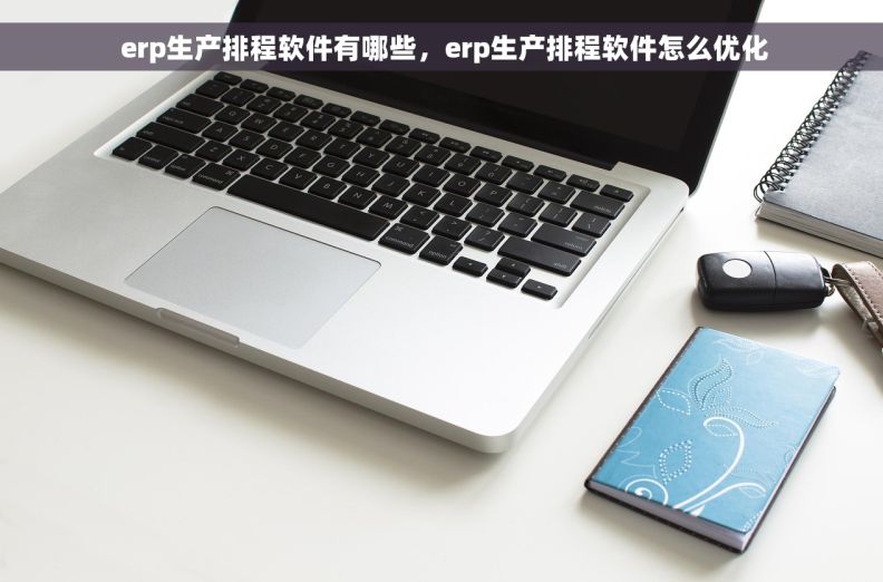  erp生产排程软件有哪些，erp生产排程软件怎么优化