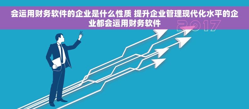 会运用财务软件的企业是什么性质 提升企业管理现代化水平的企业都会运用财务软件