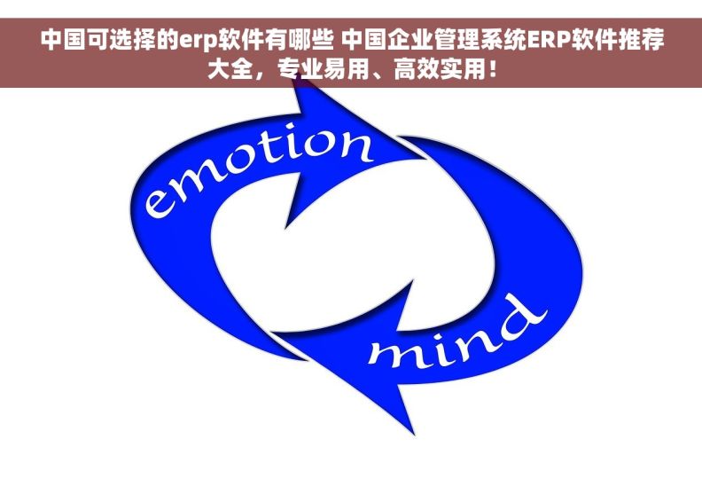 中国可选择的erp软件有哪些 中国企业管理系统ERP软件推荐大全，专业易用、高效实用！