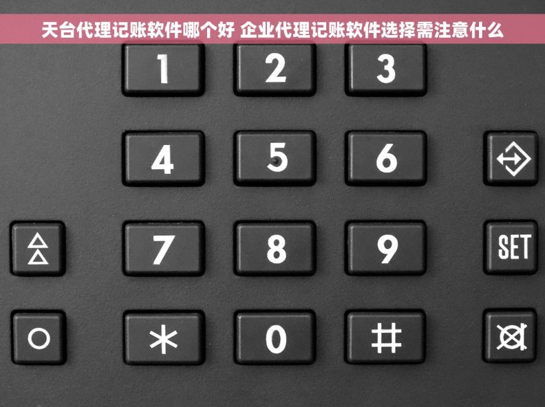 天台代理记账软件哪个好 企业代理记账软件选择需注意什么
