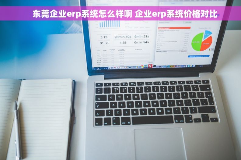    东莞企业erp系统怎么样啊 企业erp系统价格对比