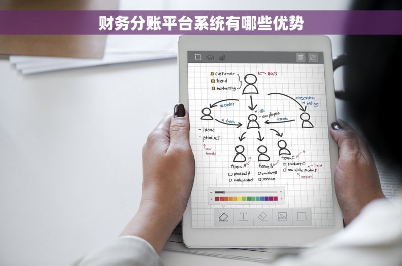 财务分账平台系统有哪些优势