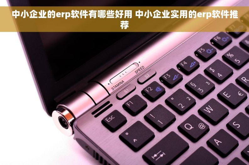 中小企业的erp软件有哪些好用 中小企业实用的erp软件推荐
