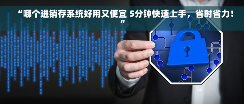 “哪个进销存系统好用又便宜 5分钟快速上手，省时省力！”