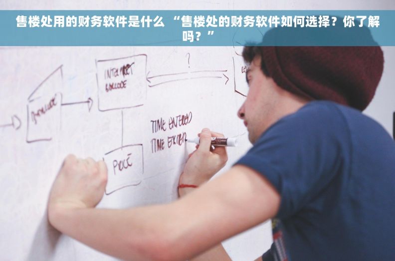 售楼处用的财务软件是什么 “售楼处的财务软件如何选择？你了解吗？”
