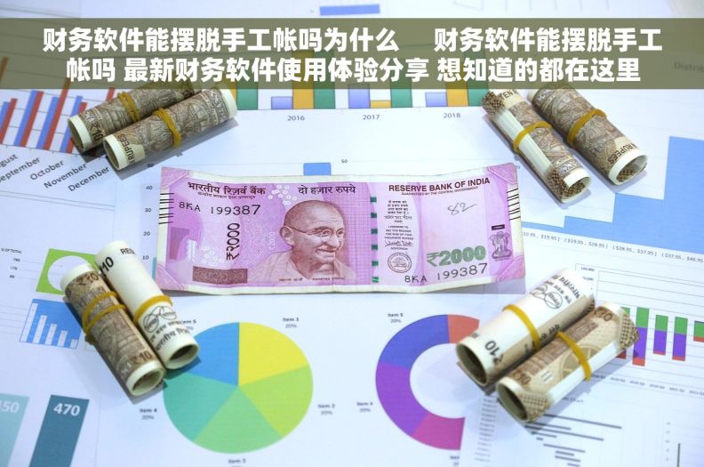 财务软件能摆脱手工帐吗为什么     财务软件能摆脱手工帐吗 最新财务软件使用体验分享 想知道的都在这里
