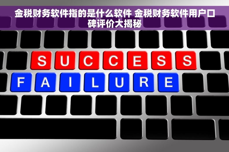金税财务软件指的是什么软件 金税财务软件用户口碑评价大揭秘