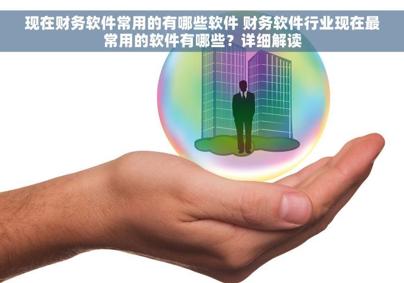 现在财务软件常用的有哪些软件 财务软件行业现在最常用的软件有哪些？详细解读
