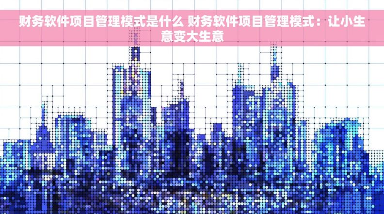 财务软件项目管理模式是什么 财务软件项目管理模式：让小生意变大生意