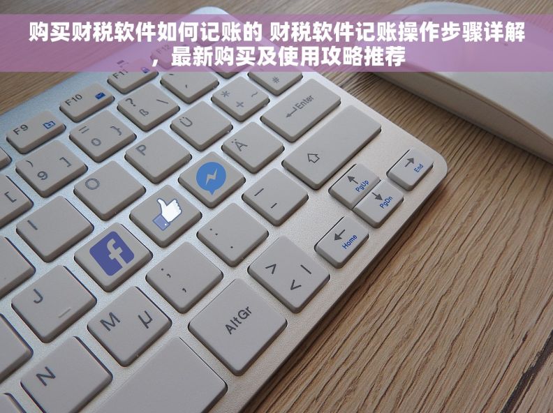 购买财税软件如何记账的 财税软件记账操作步骤详解，最新购买及使用攻略推荐