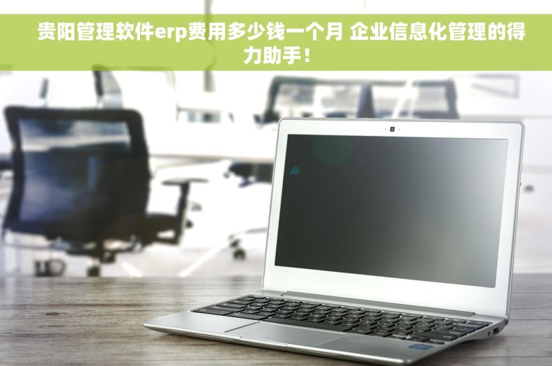   贵阳管理软件erp费用多少钱一个月 企业信息化管理的得力助手！