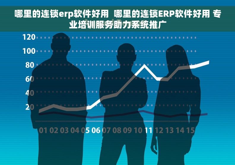 哪里的连锁erp软件好用  哪里的连锁ERP软件好用 专业培训服务助力系统推广